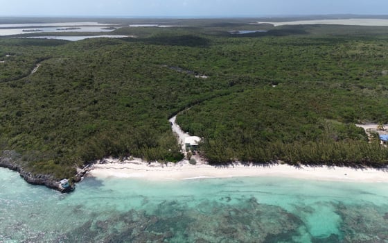 Beachfront Home on 9.1 Acre Estate. - MLS 67503, picture 25