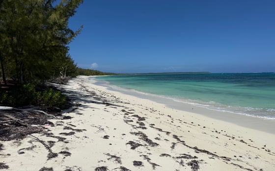 Beachfront Home on 9.1 Acre Estate. - MLS 67503, picture 29