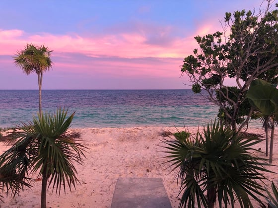 Beachfront Home on 9.1 Acre Estate. - MLS 67503, picture 19