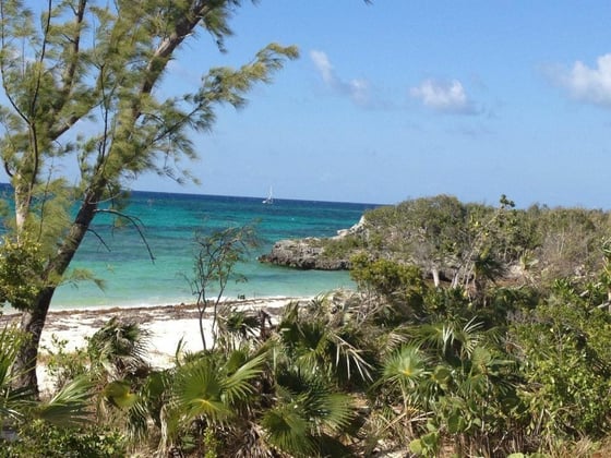 Beachfront Home on 9.1 Acre Estate. - MLS 67503, picture 23