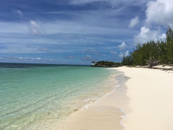 Beachfront Home on 9.1 Acre Estate. - MLS 67503, picture 16