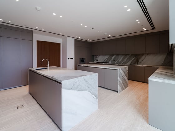 Best 360ْ  View in Palm | Duplex Sky Mansion, picture 9
