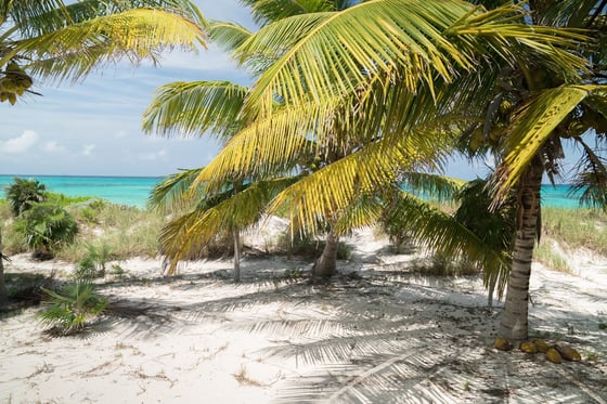 Beachfront Home - MLS 67457, picture 19