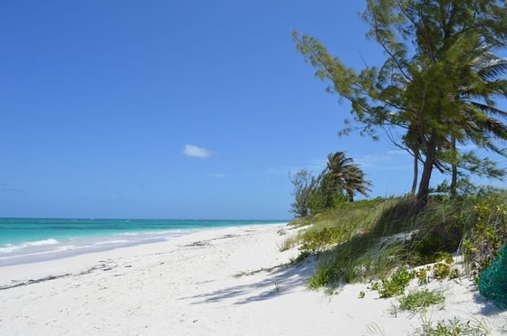 Beachfront Home - MLS 67457, picture 29