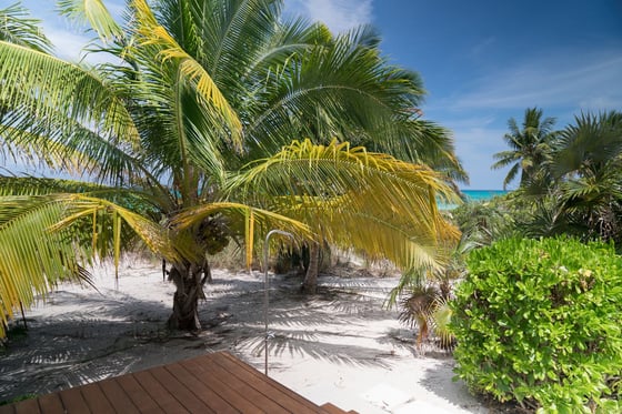Beachfront Home - MLS 67457, picture 20