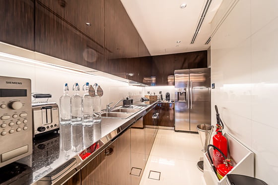 Exclusive | Presidential Penthouse | Mega Terrace, picture 7