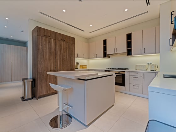 Fully Furnished and Upgraded Luxury Villa, picture 20