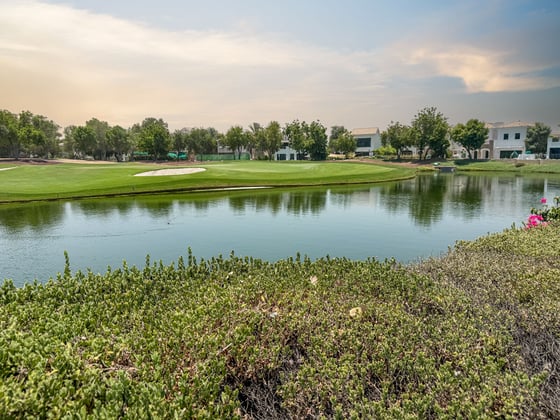 A Fairway Gem with Golf and Lake Views, picture 25