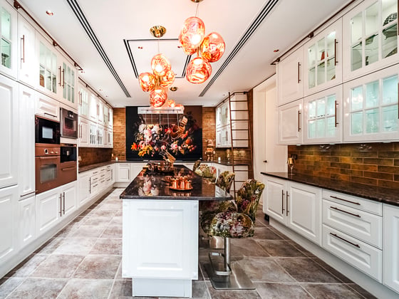 Luxury Villa | 10BR | Al Barari | View Today, picture 13