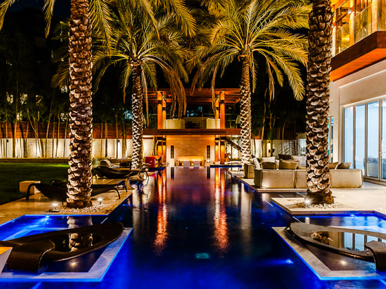 Luxury Villa | 10BR | Al Barari | View Today, picture 2