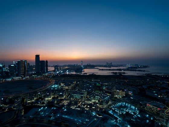 Stunning Apartment with Sea and Palm Views, picture 25