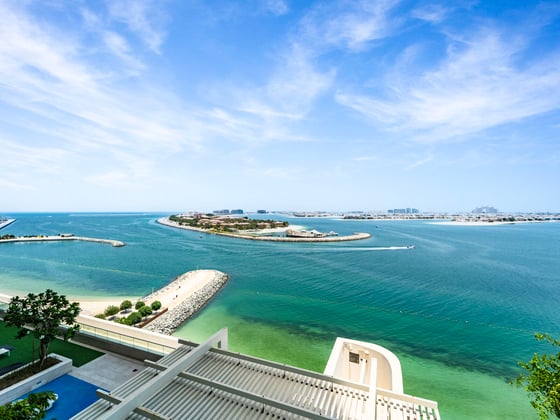 VACANT | MOTIVATED SELLER | FULL PALM VIEW | VIEW TODAY, picture 1