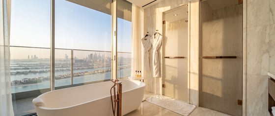 Exclusive | Trophy | Ultra Luxury | Vacant, picture 21