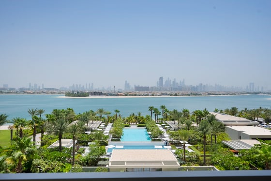 1-of-1 Palm View Renovation | Incredible Must-See!, picture 23