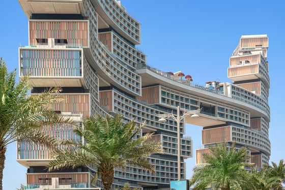 Branded Upgrade | Palm Skyline View | 2BR+ XL Size, picture 19