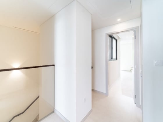 Brand New | Single Row | Skylight Layout, picture 4