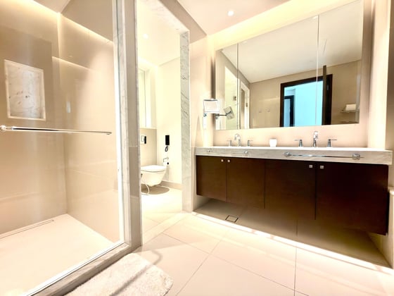 Burj and Fountain View | Mid Floor | Vacant, picture 15
