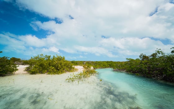 Hummingbird Cay: A Private Island Sanctuary in the Exumas - MLS 68581, picture 28