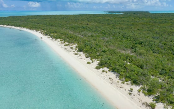 Hummingbird Cay: A Private Island Sanctuary in the Exumas - MLS 68581, picture 23