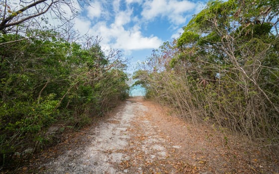 Hummingbird Cay: A Private Island Sanctuary in the Exumas - MLS 68581, picture 30