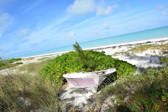 20 Acres Kemps Bay, Beachfront Acreage - MLS 68729, picture 24