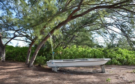 20 Acres Kemps Bay, Beachfront Acreage - MLS 68729, picture 27