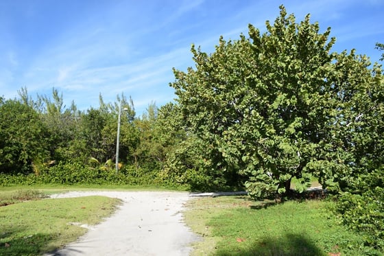 20 Acres Kemps Bay, Beachfront Acreage - MLS 68729, picture 6
