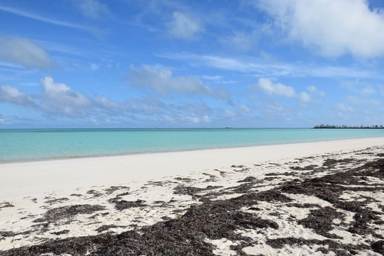 20 Acres Kemps Bay, Beachfront Acreage - MLS 68729, picture 9