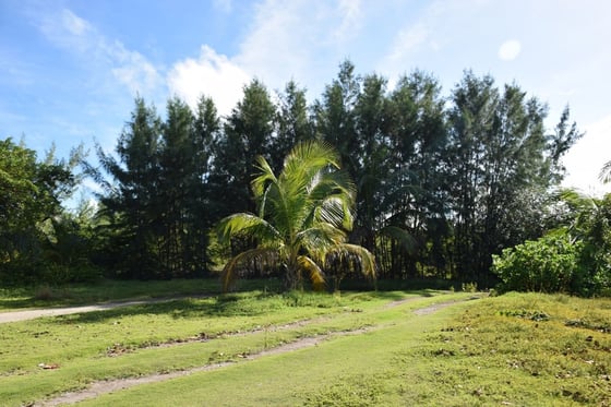 20 Acres Kemps Bay, Beachfront Acreage - MLS 68729, picture 7