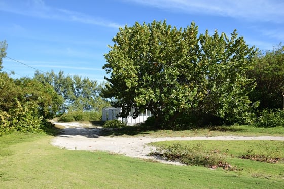 20 Acres Kemps Bay, Beachfront Acreage - MLS 68729, picture 31