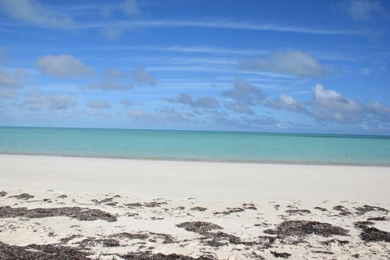 20 Acres Kemps Bay, Beachfront Acreage - MLS 68729, picture 21