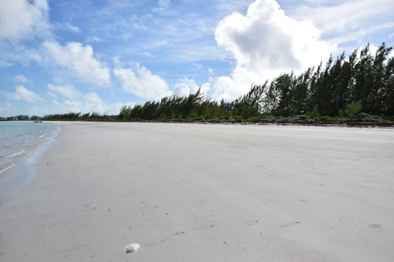 20 Acres Kemps Bay, Beachfront Acreage - MLS 68729, picture 2