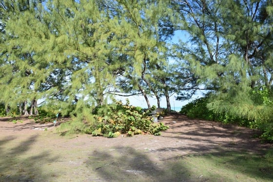 20 Acres Kemps Bay, Beachfront Acreage - MLS 68729, picture 28