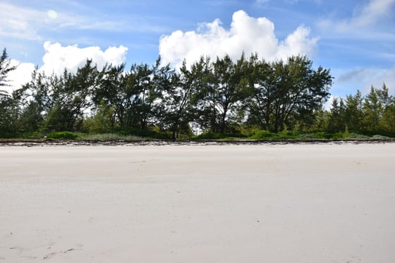 20 Acres Kemps Bay, Beachfront Acreage - MLS 68729, picture 22