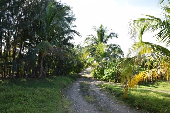 20 Acres Kemps Bay, Beachfront Acreage - MLS 68729, picture 8