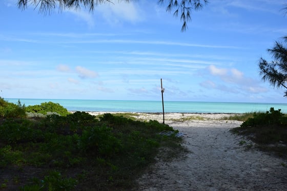 20 Acres Kemps Bay, Beachfront Acreage - MLS 68729, picture 25