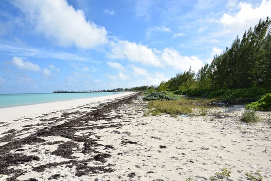 20 Acres Kemps Bay, Beachfront Acreage - MLS 68729, picture 23