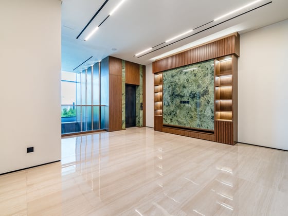 Contemporary Villa with Private Pool and Elevator, picture 9