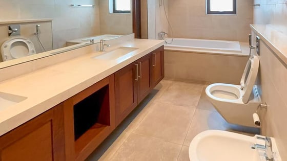 Huge villa in MBR City with landscaped lawns and gardens, picture 9