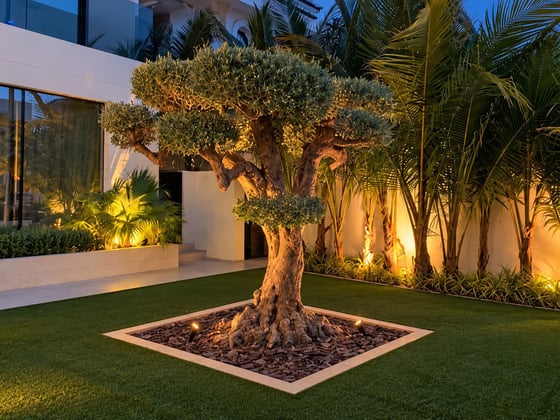 Bespoke Italian Design | Beach Villa | Vacant, picture 19