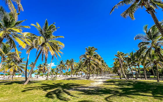 Paradise Beach Estate - MLS 68819, picture 17