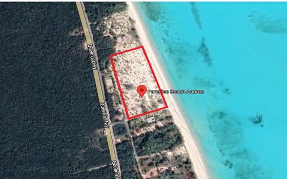 Paradise Beach Estate - MLS 68819, picture 43