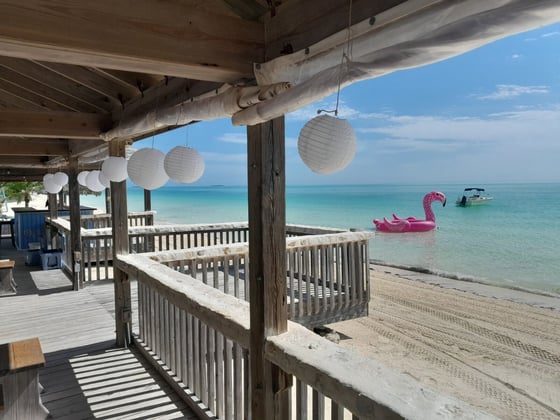 Paradise Beach Estate - MLS 68819, picture 57