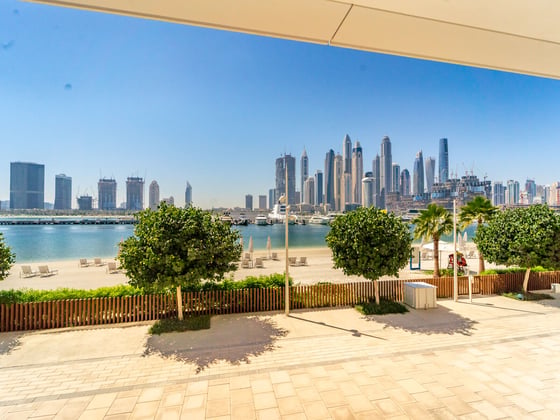 Podium Living | Private Terrace | Vacant Now, picture 14