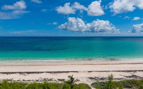 Provender - A Timeless Beachfront Retreat, picture 6