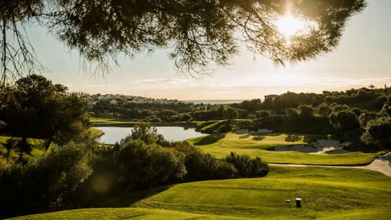 A private gated estate into a unique inviroment 5 star golf, picture 11