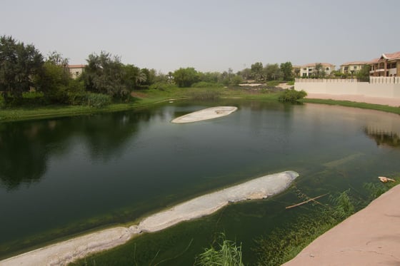 Lake facing superb Mansion in Jumeirah Islands, picture 17