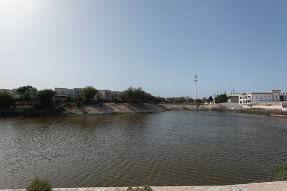 Lake Facing Mansion Plot In Jumeirah Islands, picture 10