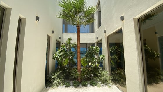 Exclusive Brand-New Custom Palm Villa, picture 7