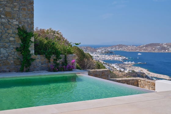 Mykonos, Fleur
Mykonos, Southern Aegean, Greece, picture 1